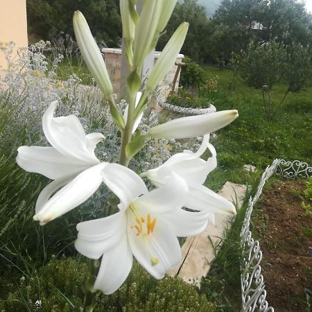 Castello Flower Apartment Kaštela 외부 사진