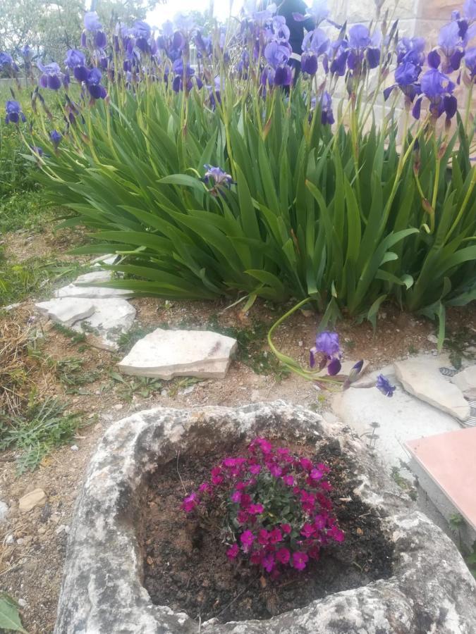 Castello Flower Apartment Kaštela 외부 사진